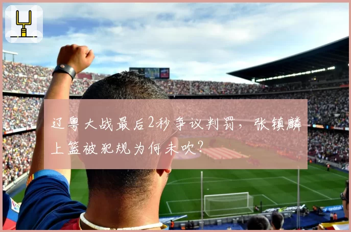 辽粤大战最后2秒争议判罚，张镇麟上篮被犯规为何未吹？