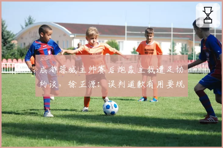 成都蓉城主帅赛后炮轰主裁遭足协约谈，徐正源：误判道歉有用要规则做什么