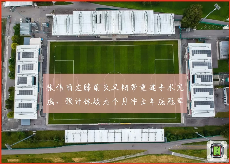张伟丽左膝前交叉韧带重建手术完成，预计休战九个月冲击年底冠军战