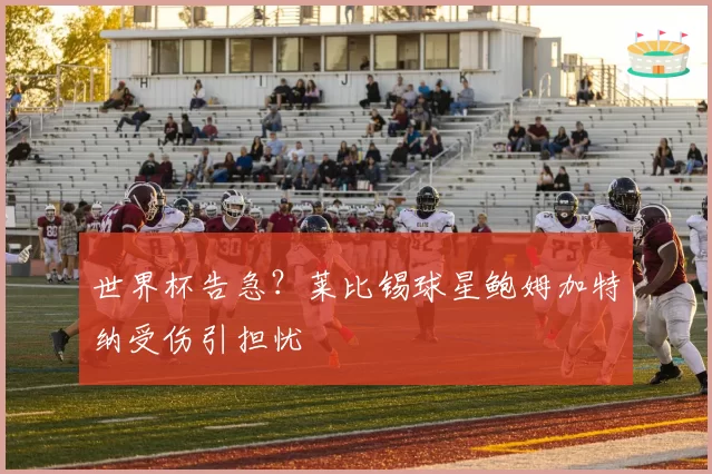 世界杯告急？莱比锡球星鲍姆加特纳受伤引担忧