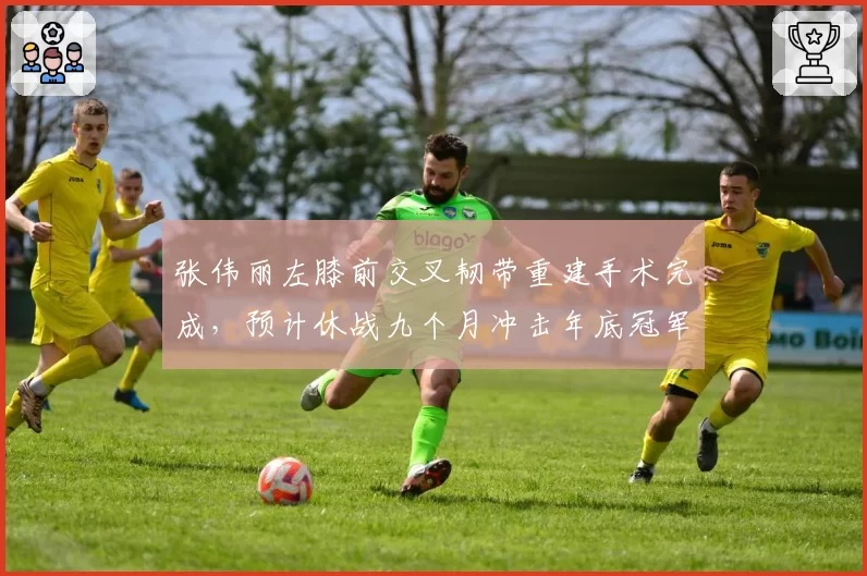 张伟丽左膝前交叉韧带重建手术完成，预计休战九个月冲击年底冠军战