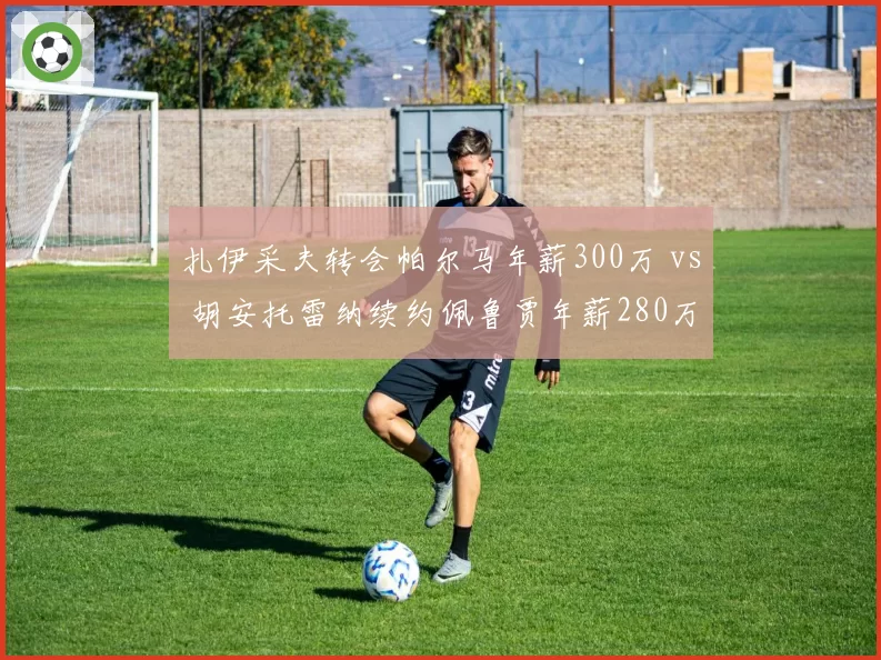 扎伊采夫转会帕尔马年薪300万 vs 胡安托雷纳续约佩鲁贾年薪280万，意甲排球超级球星薪资对比