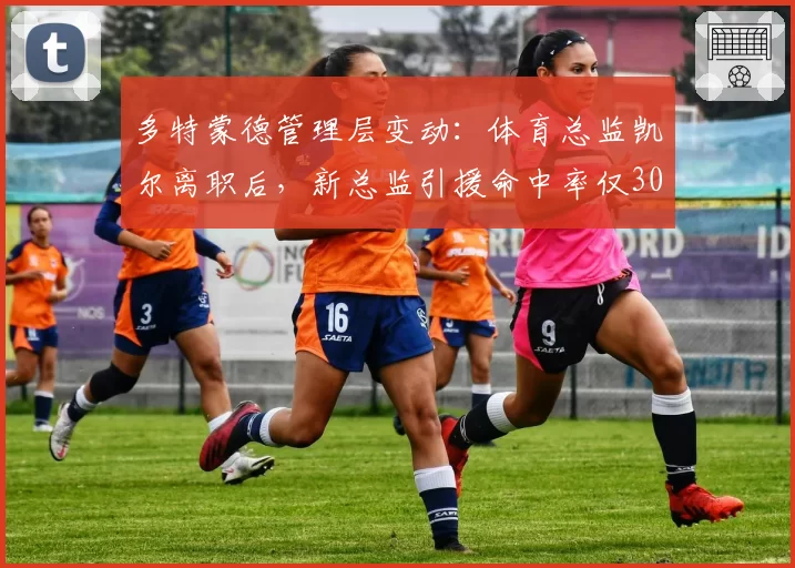 多特蒙德管理层变动：体育总监凯尔离职后，新总监引援命中率仅30%