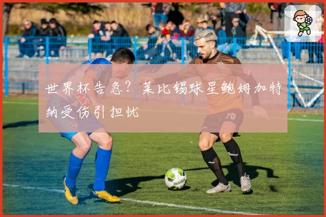 世界杯告急？莱比锡球星鲍姆加特纳受伤引担忧